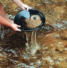Panning for Gold in the Municipal Budget