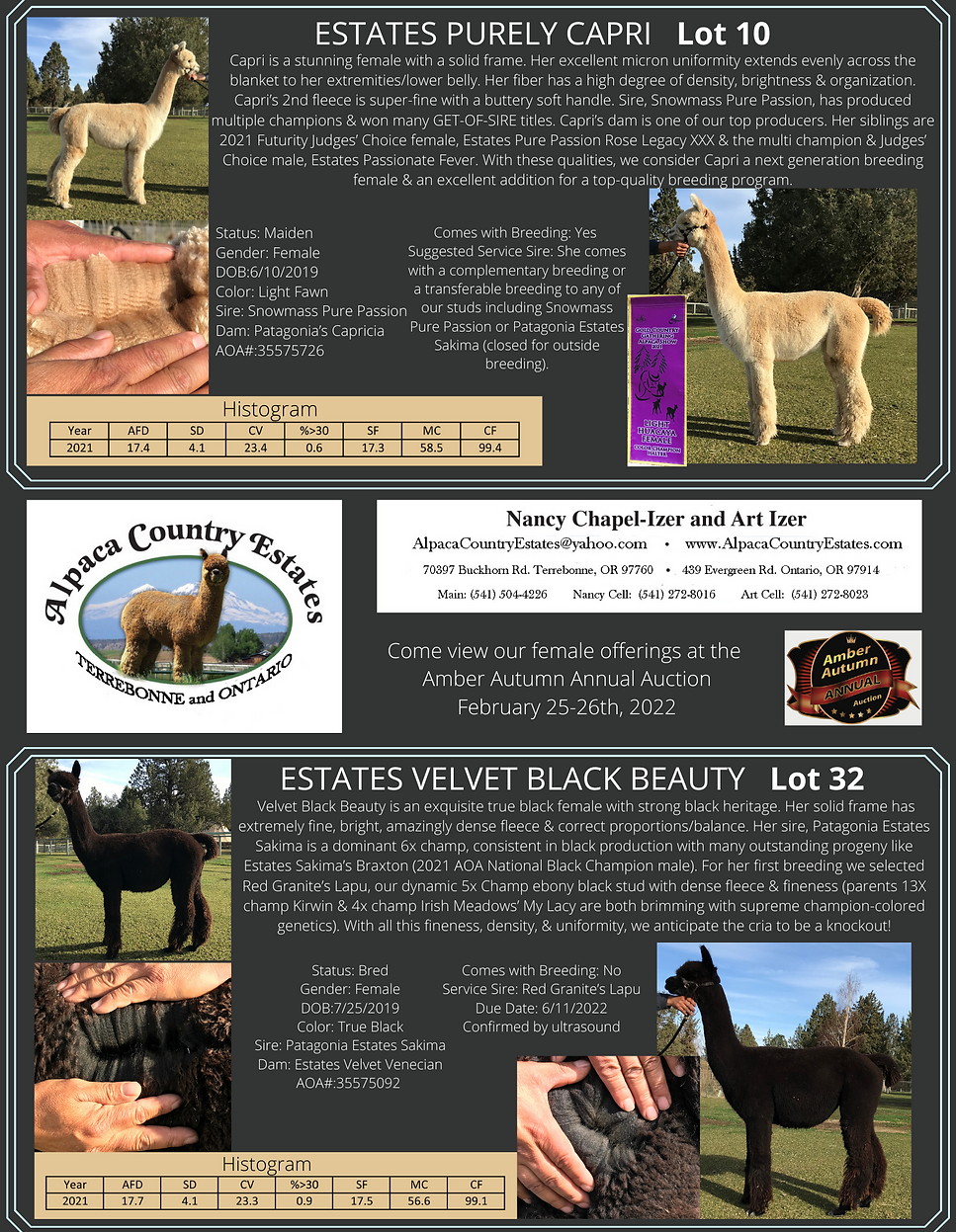 Amber Autumn Auction 2022