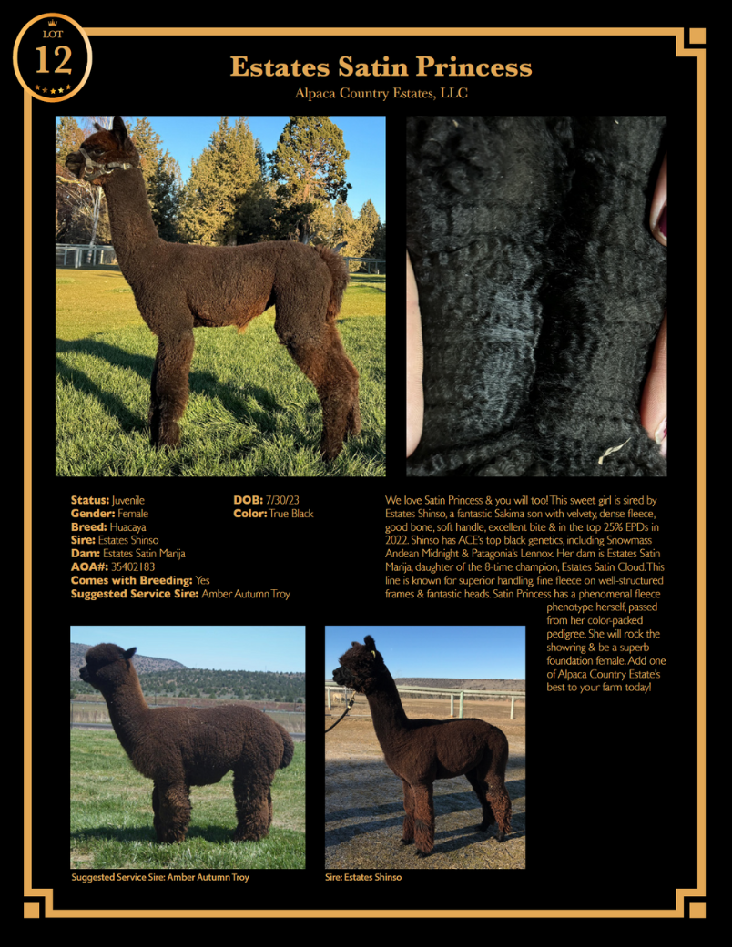 ESTATES SATIN PRINCESS-Lot 12.png