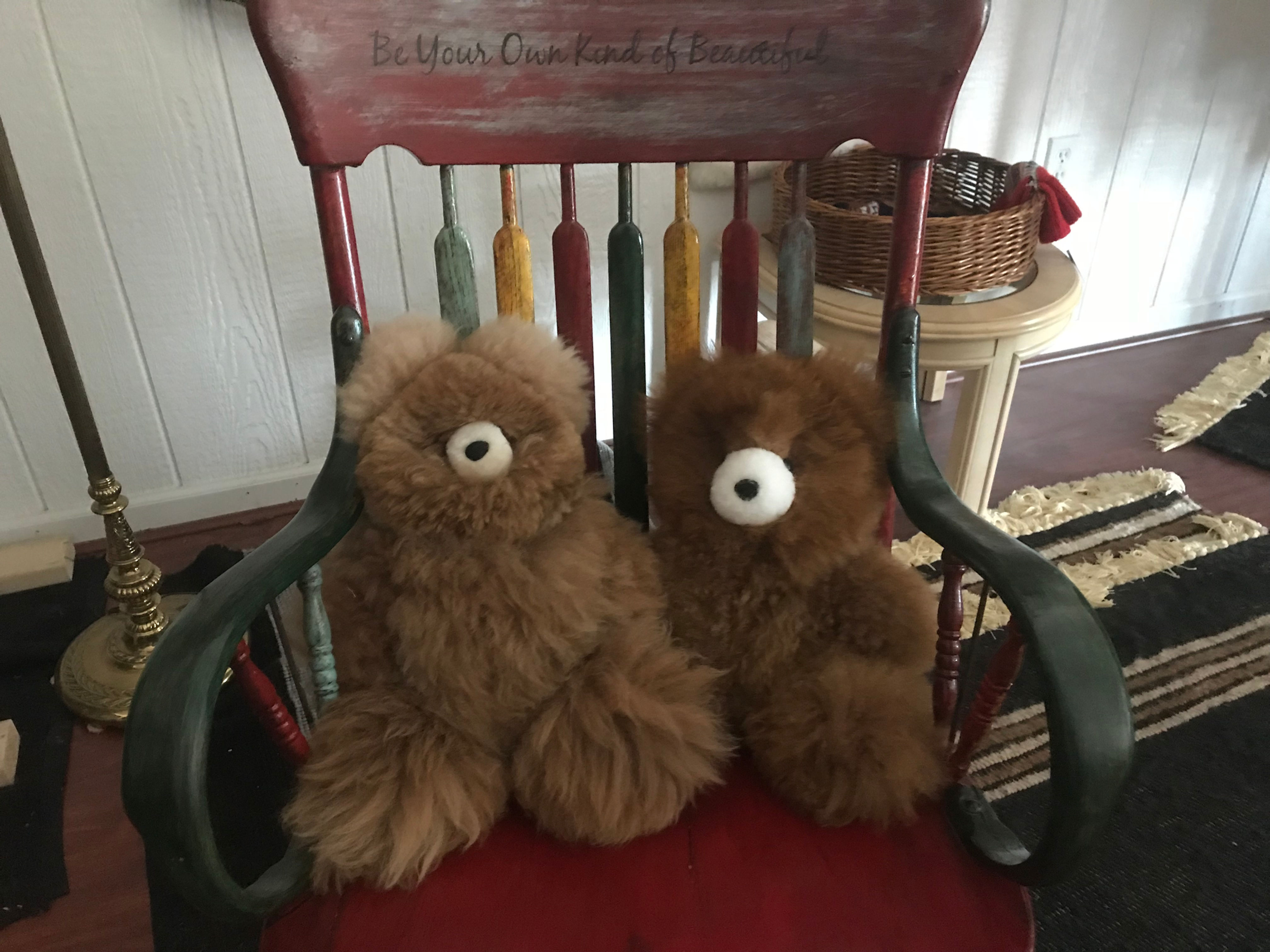 Teddy Bears - 18 inch