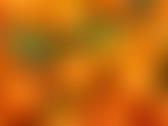 La Clémentine Corse : Un Fruit d’Exception