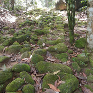Pousada Parque Imperial Paraty