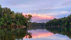 Jaguar Tour_Amazon National Park.jpg