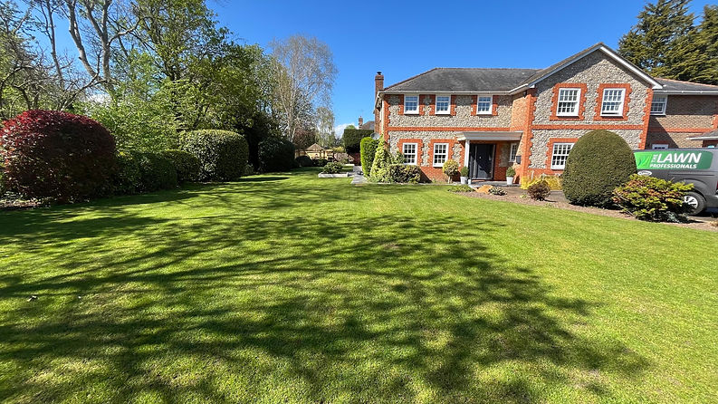 Mark Orchard Close2.jpeg