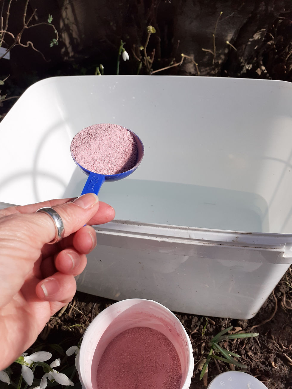 Thumbnail: Nettex's Virocur disinfectant 1kg