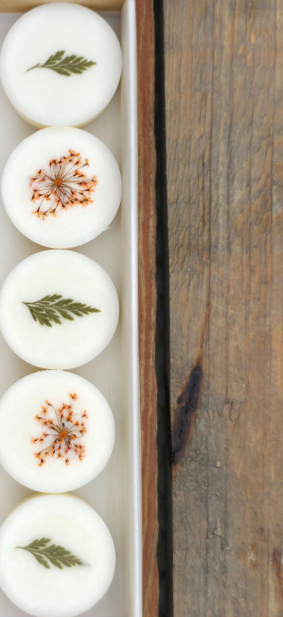 Wild Pumpkin Natural Wax Melts, decorated with star burst orange flowers and green feathery leaves