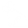 MASCOTA.png