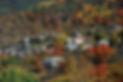 Rural_2.jpeg