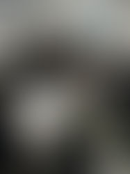 “Dez minutos a ler”