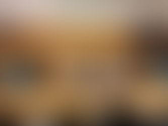 "Sermão de Santo António aos peixes": A crítica social