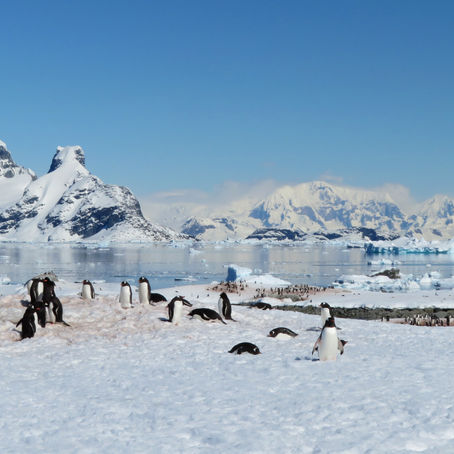 My antarctic adventure