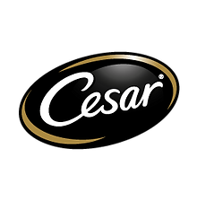 CESAR.png