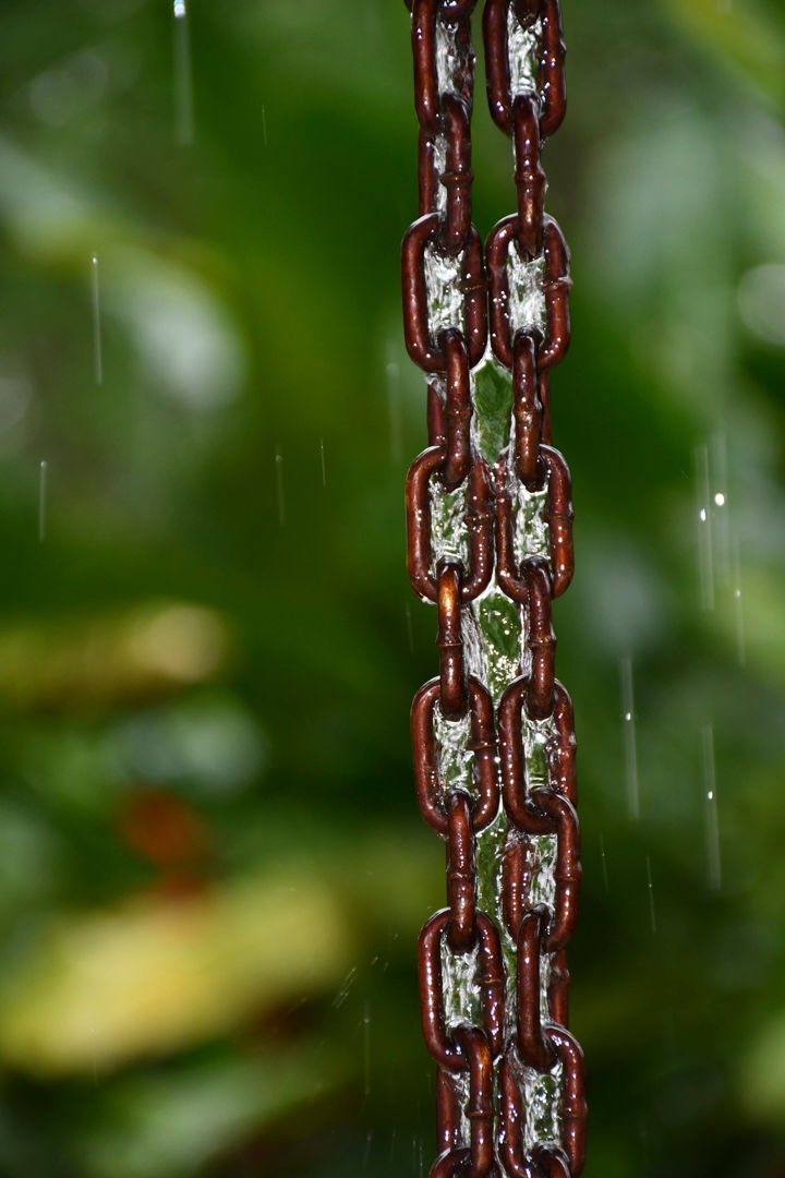 _alfonso_gallo_photo - Alfonso Gallo 002.jpg