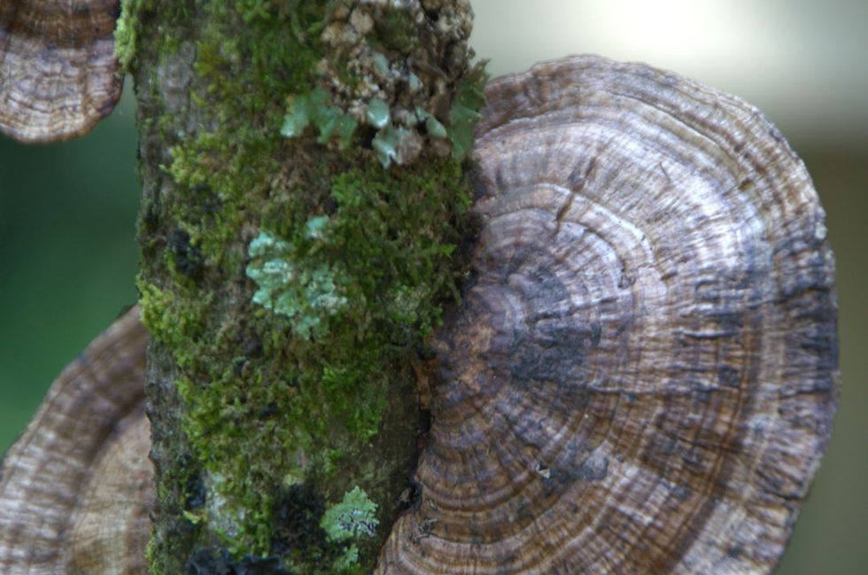 _vickycorralestezna - Vicky Corrales - 2 Dos orden en el carrusel de Instagram y página w