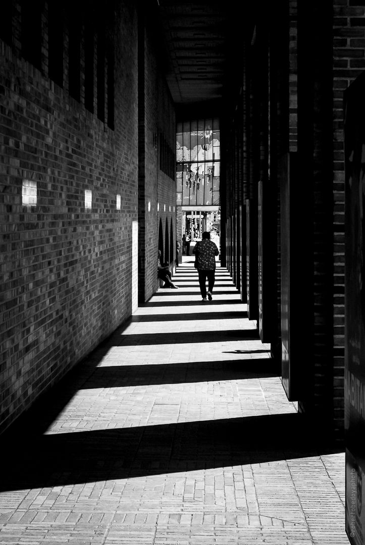 _robertobedoyaphoto-Roberto Bedoya-LS001.jpg