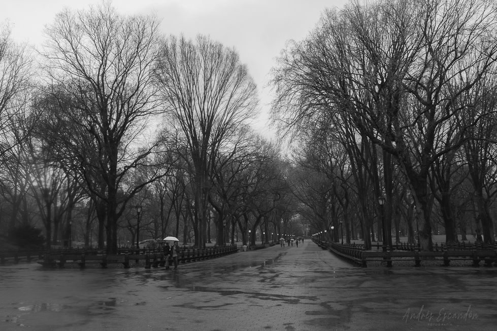 _andresescandonfotos - Andres Escandon - clima-1-5.jpg