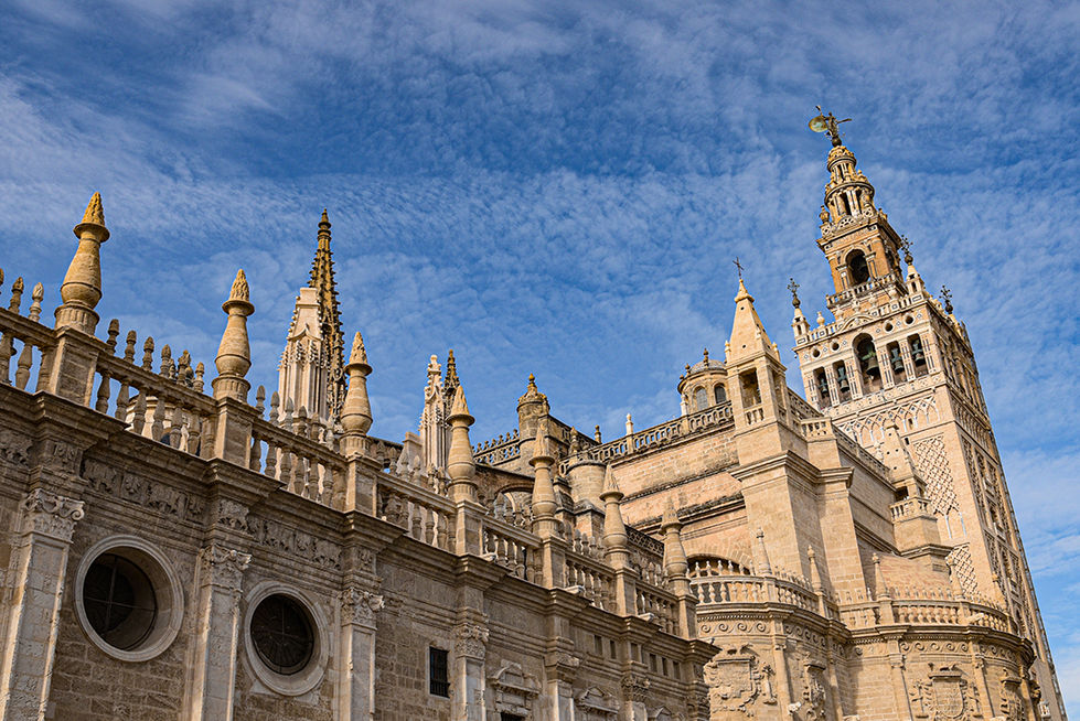 _hpintoortegon-Hernando Pinto-CP1.jpg