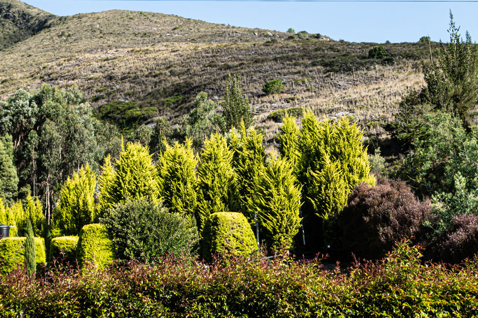 _sarapcfotografia- Sara Polo-03411.jpg