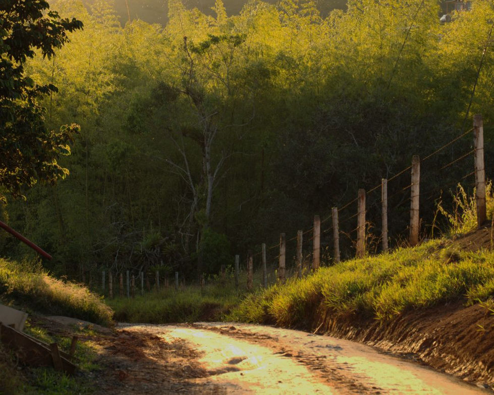 _mariacris.cano , Ma. cristina Cano V. 3.jpg