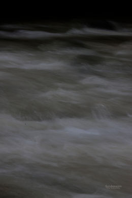 _fjordonezm - Francisco J. Ordóñez M. - Cali arriba 220514 _MG_7327.JPG