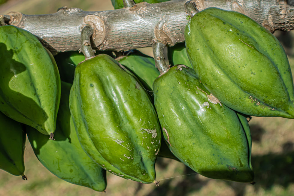 _sarapcfotografia- Sara Polo-03408.jpg