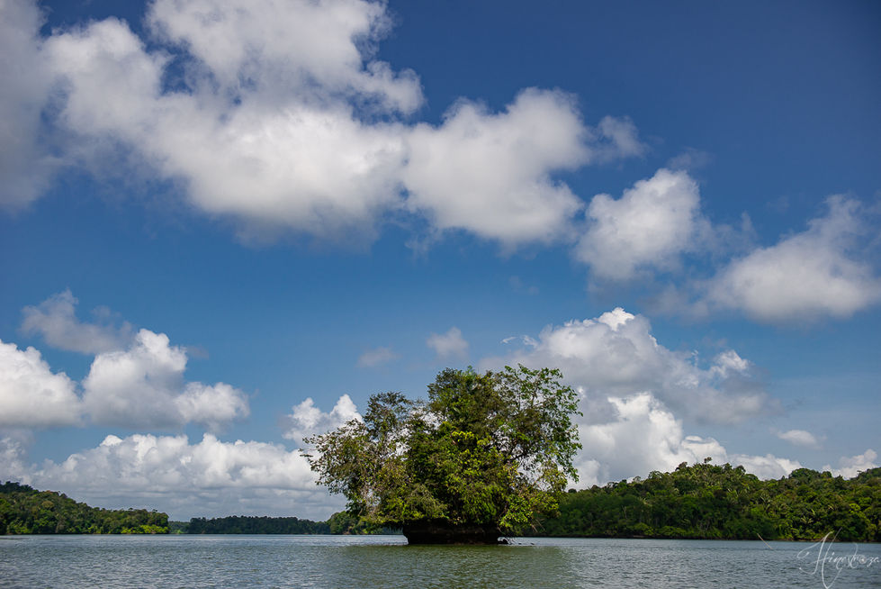 _hinestroza_fotografia - Jairo Hinestroza Sininisterra -Islote.jpg