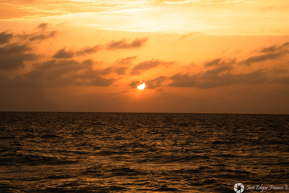 _jotaefe_100 - Jose Edgar Franco E - foto3.jpg