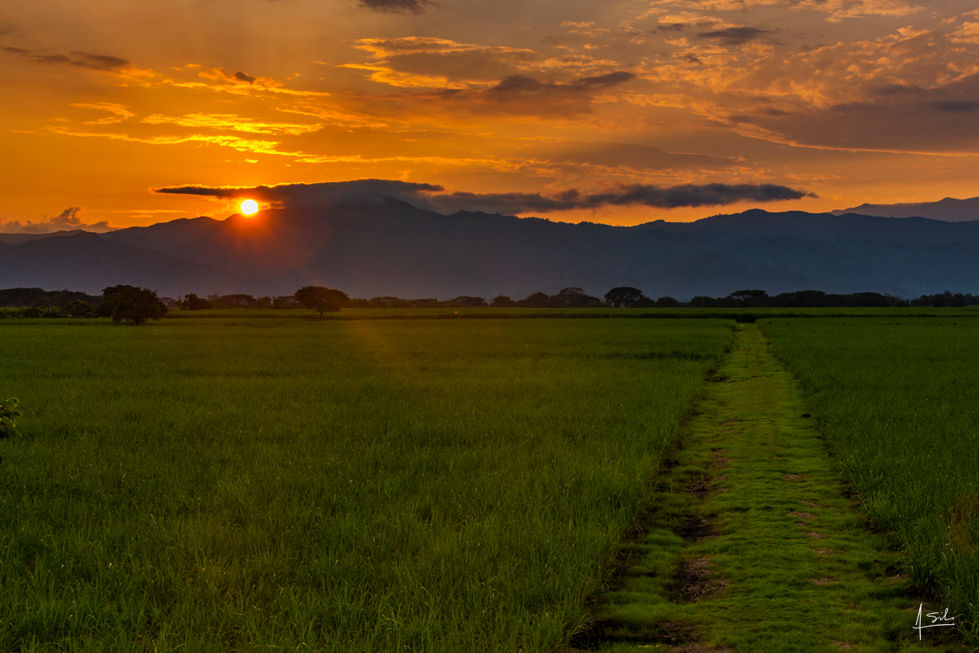 _augustosilvaotero - Augusto - Buga.jpg