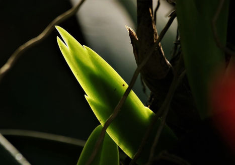 _mariacris.cano - maria cristina cano - siluetas contraluz  2.jpg