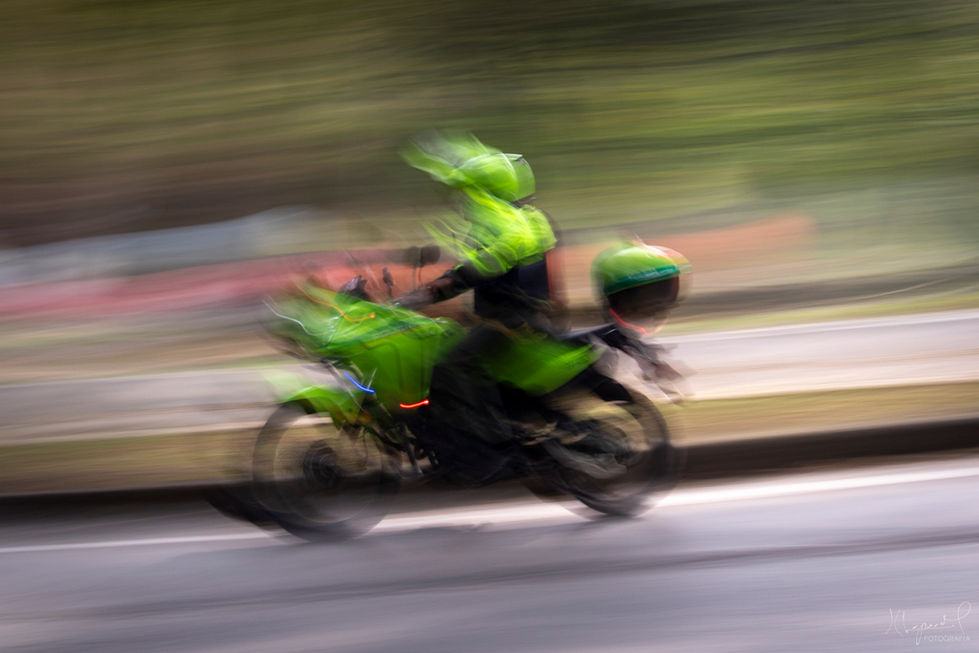 _juanphotographer65 - Juan Carlos Lopez Mejia - VERDE-1.jpg