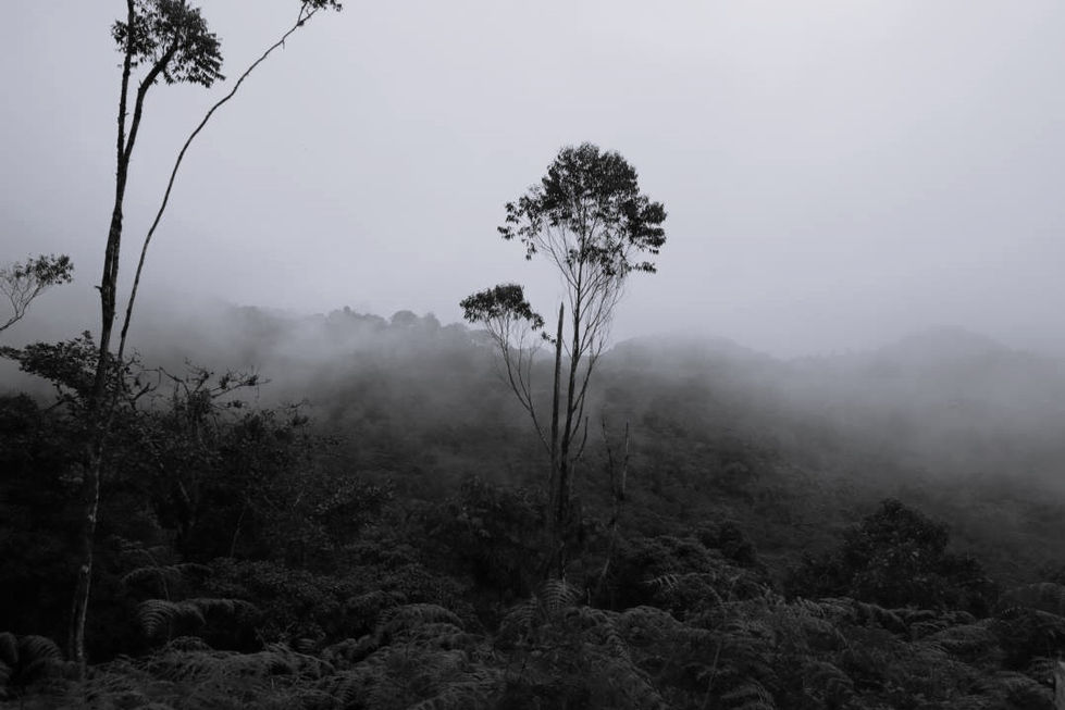 _elizabethhormaza - ELIZABETH HORMAZA - MG_9720.jpg