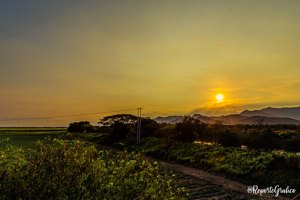 _reporteGrafico - Carlos Fernando Loaiza Arteaga - 3.jpg