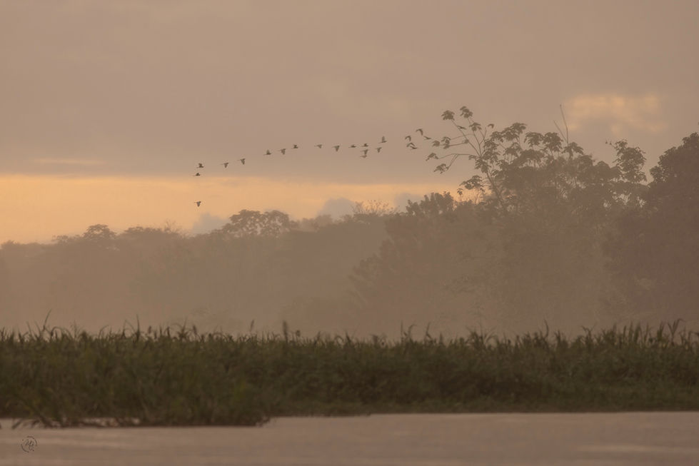 _mgarciaizq - Martha García - Leticia a través de la lluvia..jpg