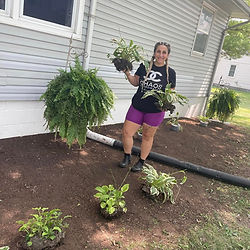 Brittany planting hostas, flowers and maintaining and establishing a flower bed.
