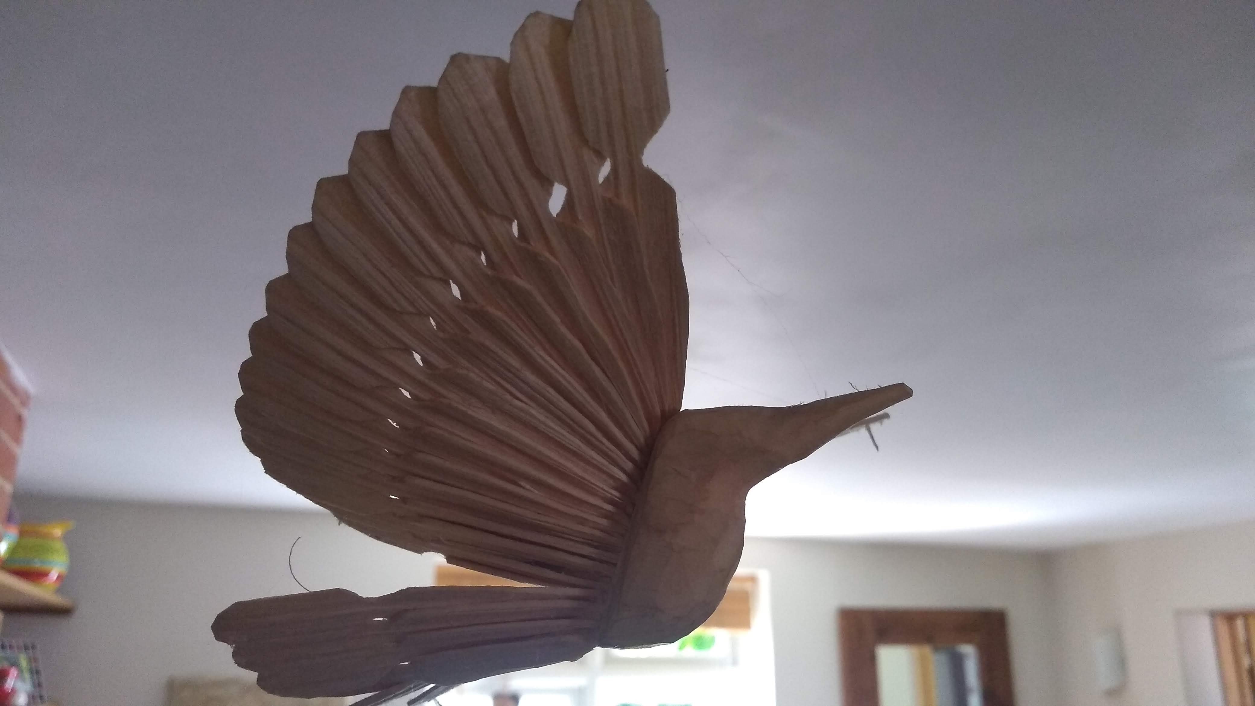 Fan bird