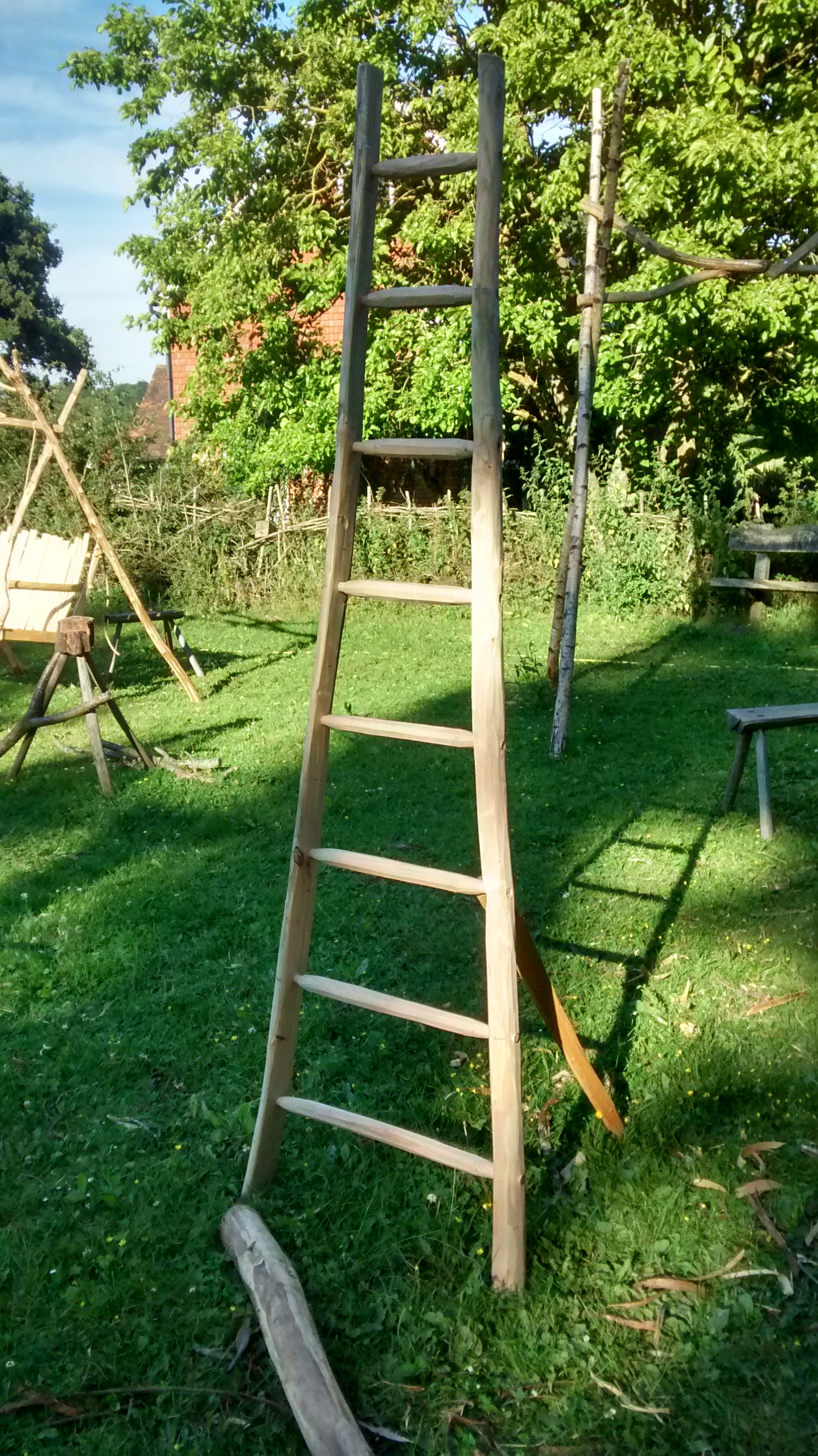 ladder