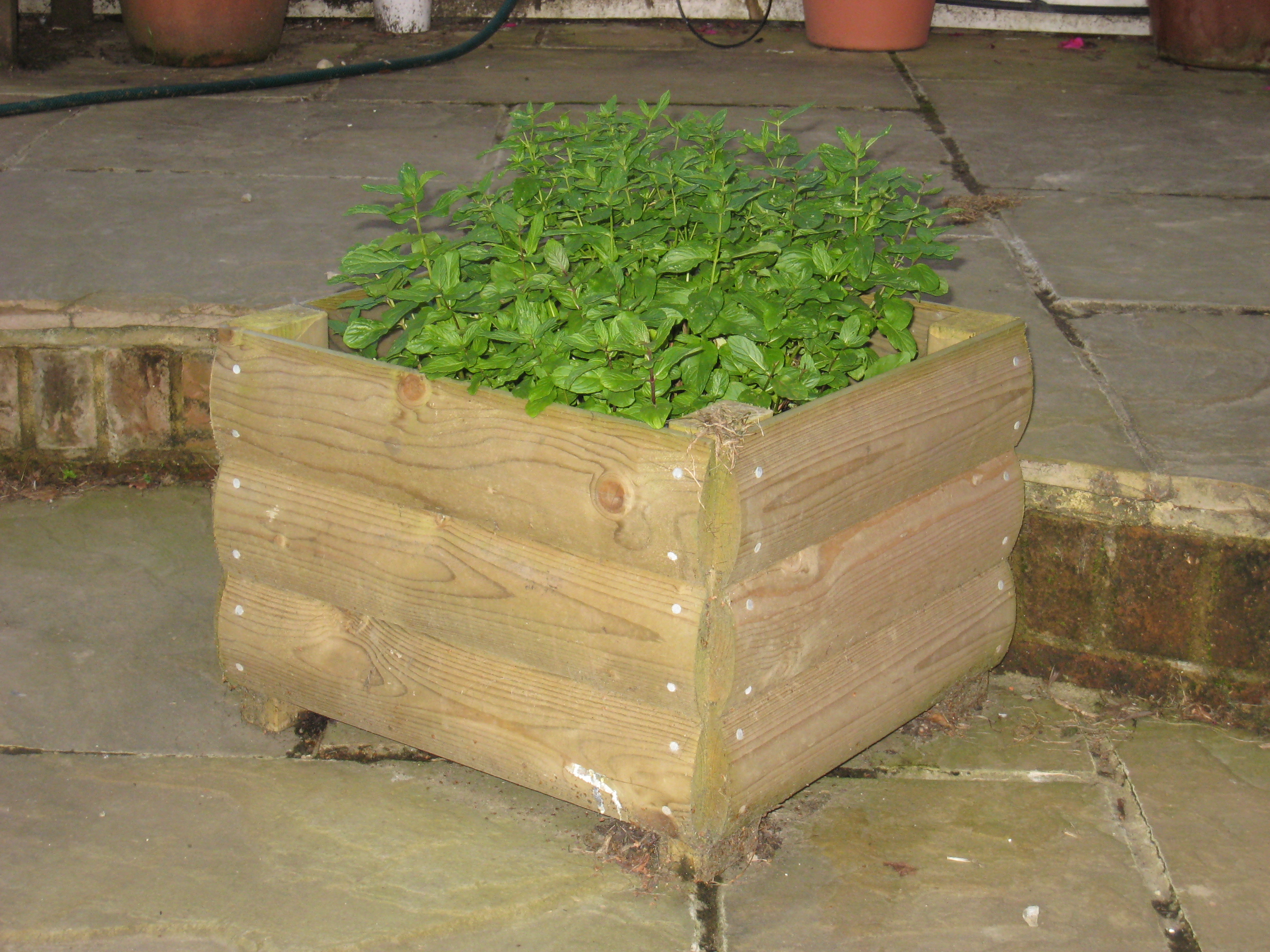 Planter