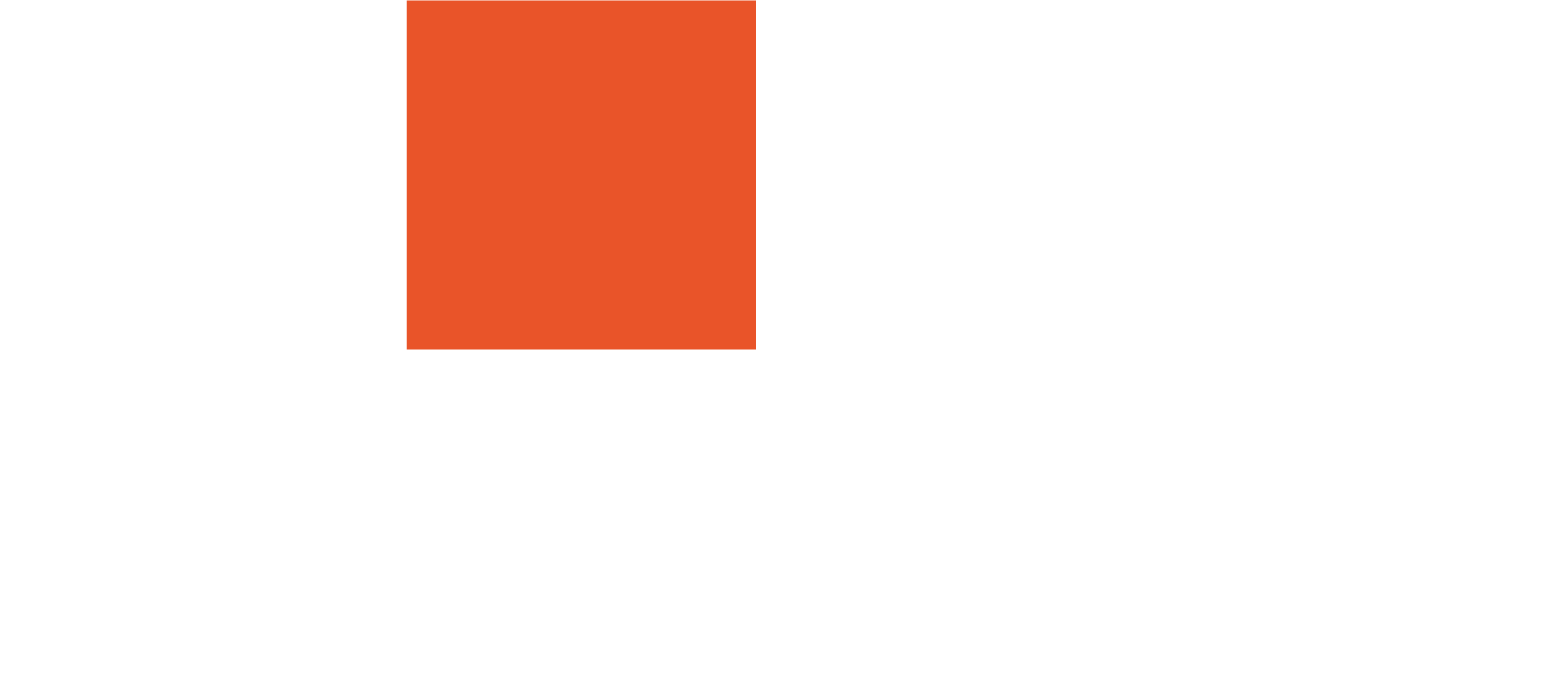 Logo Blanco.png