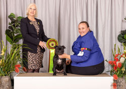 Ozzie Baby in Group Yuggera--2_edited