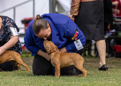 SBTCQ Candids-2-17_edited