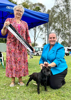 Will Baby IG Beaudesert22