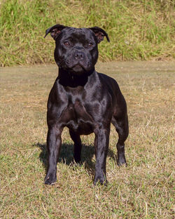 Darcii 9mths-_edited