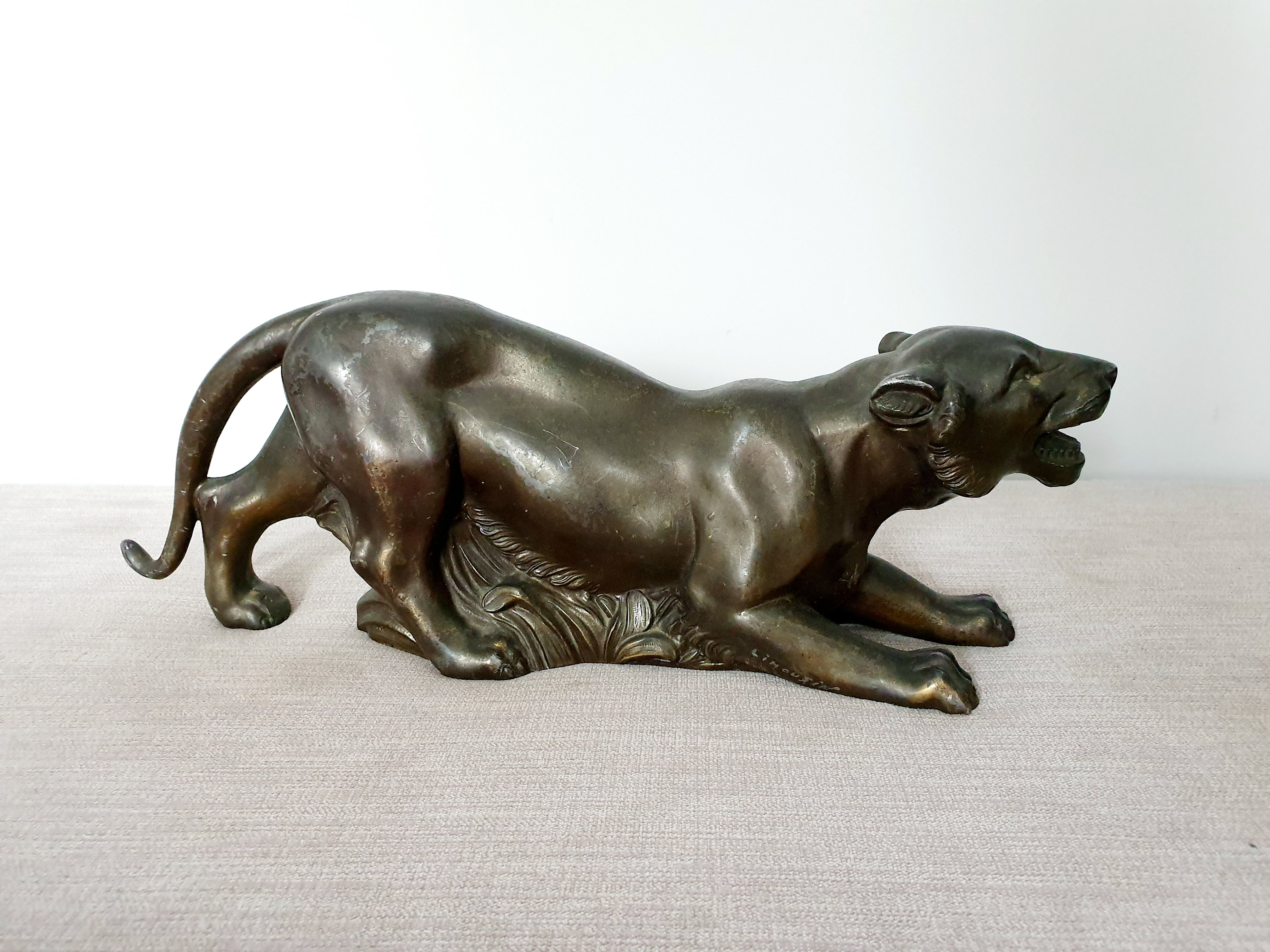 Signed Limousin Panther