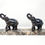 Thumbnail: Elephants on Marble