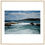 Thumbnail: Foaming Sea