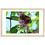 Thumbnail: Rainbow Lorikeet's Dinner