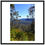 Thumbnail: Blue Mountains View
