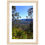 Thumbnail: Blue Mountains View