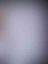 The cover page of a version of "The Sbuirrels" issue "The Wound," recreated via GIMP in digitally-created die.