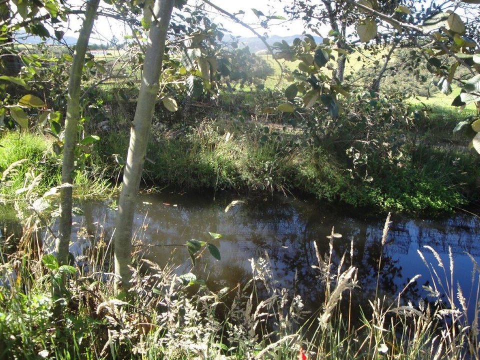 DSC02719